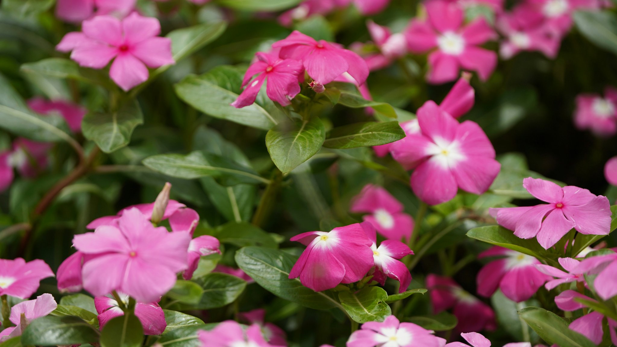 Graphic comparing Dropbox's security improvements over five years.